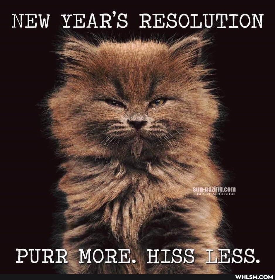 NEW YEAR'S RESOLUTION
PURR MORE. HISS LESS.