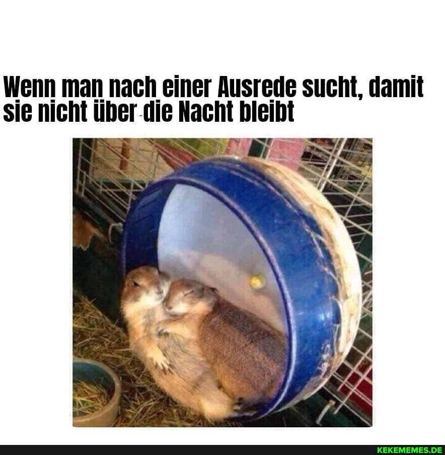 Wenn man nach einer Ausrede sucht, damit sie nicht die Nacht bleibt
