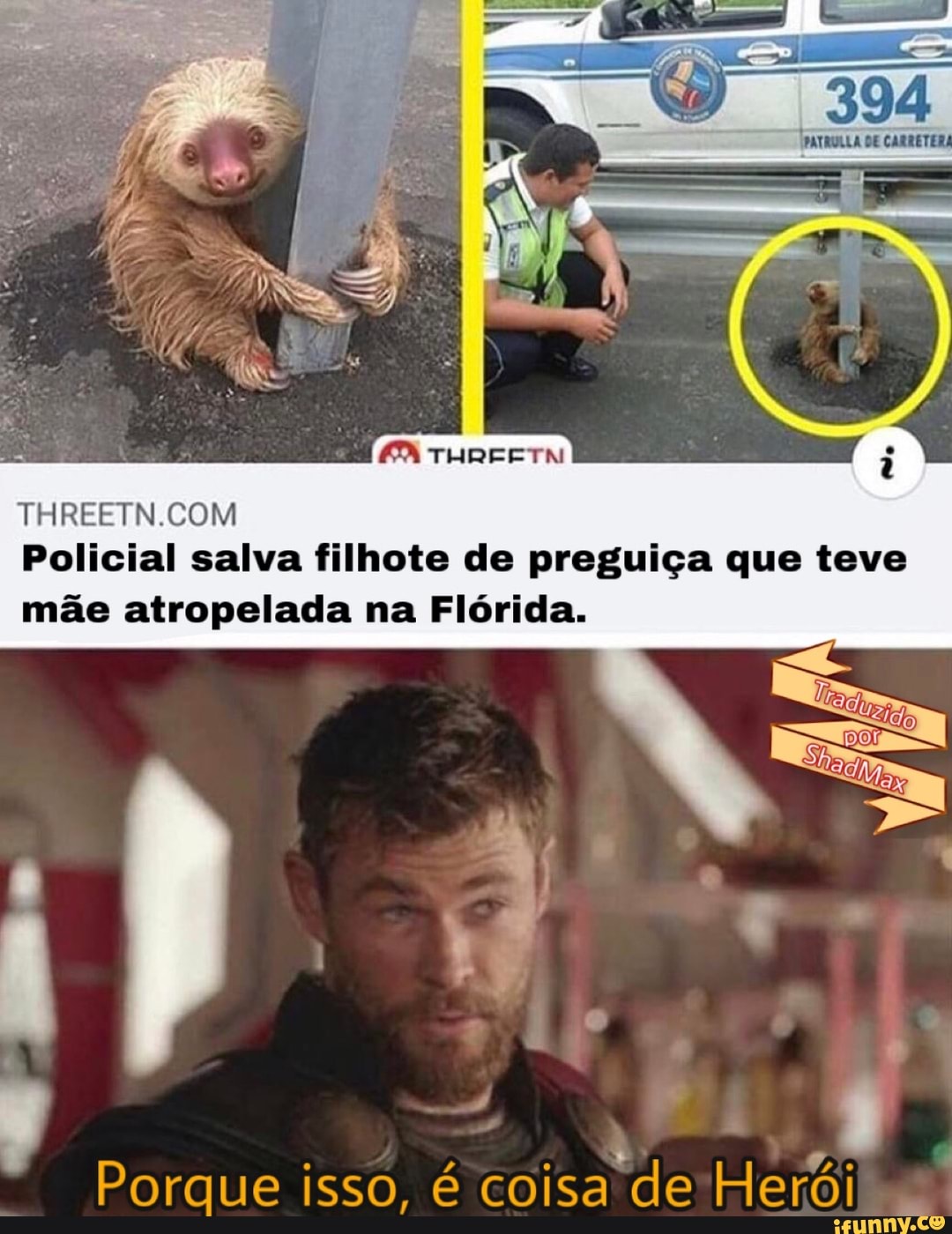 THREETN.COM
Policial salva filhote de preguiça que teve
mãe atropelada na Flórida.
a DO Porque isso, é coisa
de'Herói