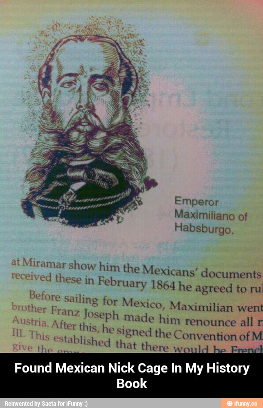 Book - Found Mexican Nick Cage In My History Book