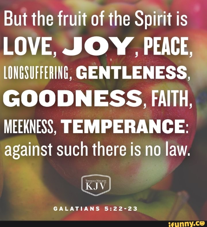 But the fruit of the Spirit is LOVE, JOY, PEACE, LONGSUFFERING ...