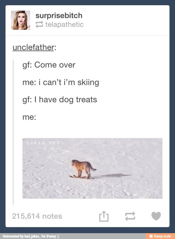 8 surprisebitch
unclefather:
gf: Come over
me: i can't i'm skiing
gf: I have dog treats