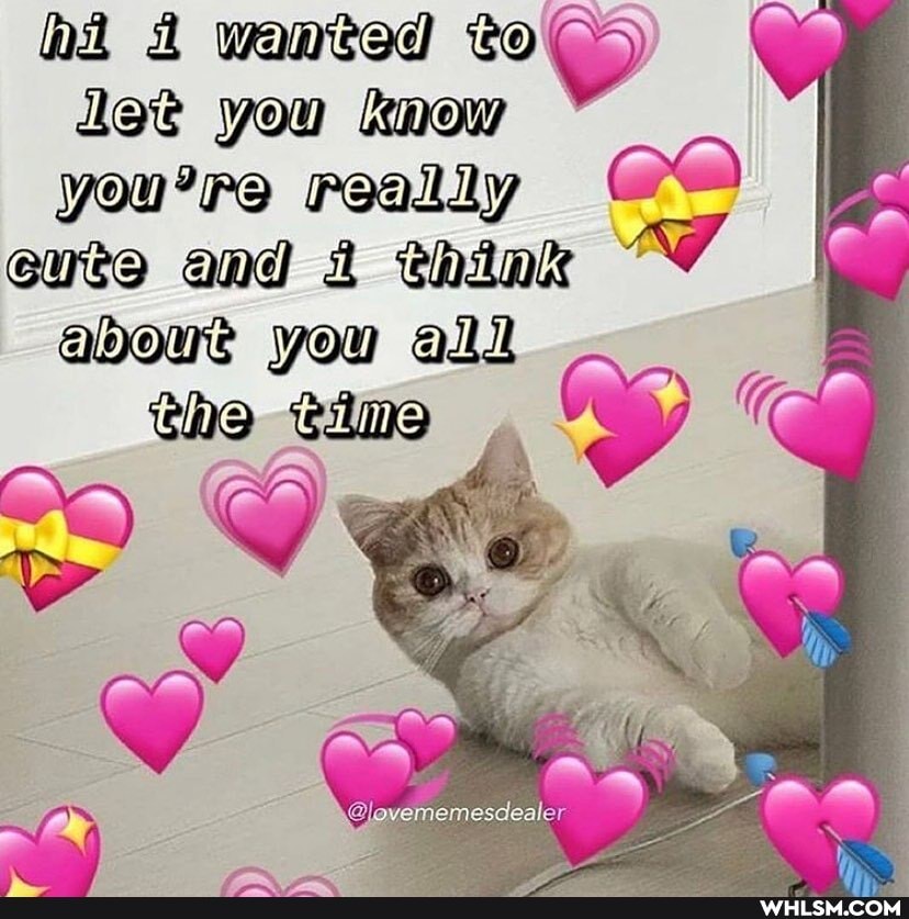 hi wanted to
Jet you now you're really eute and think about you
Line
CO
or
@lovememesdealer