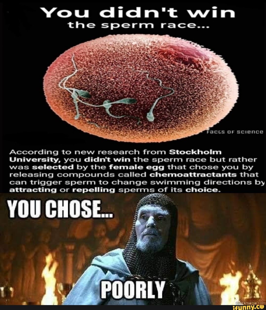 You didn't win the sperm race... Faccs OF science According to new ...