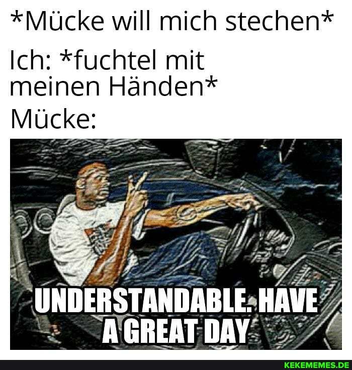 *Mücke will mich stechen*
Ich: *fuchtel mit
meinen Händen*
Mücke:
UNDERSTANDABLE.