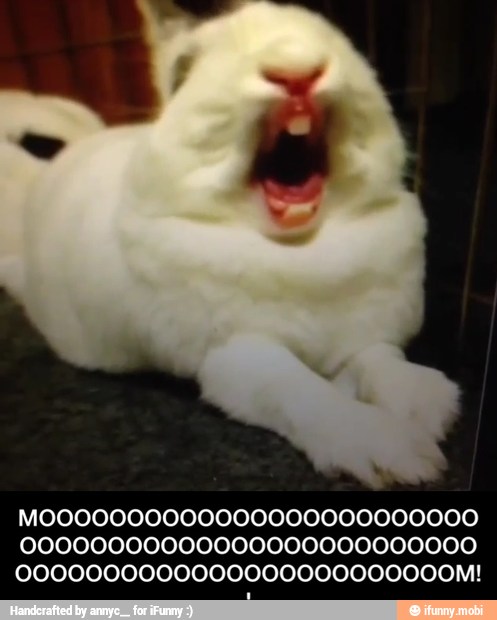 00000000000000000000000000 - MOOOOOOOOOOOOOOOOOOOOOOOOOOOOOOOOOOOOOOOOOOOOOOOOOOOOOOOOOOOOOOOOOOOOOOOOOOOOM!!