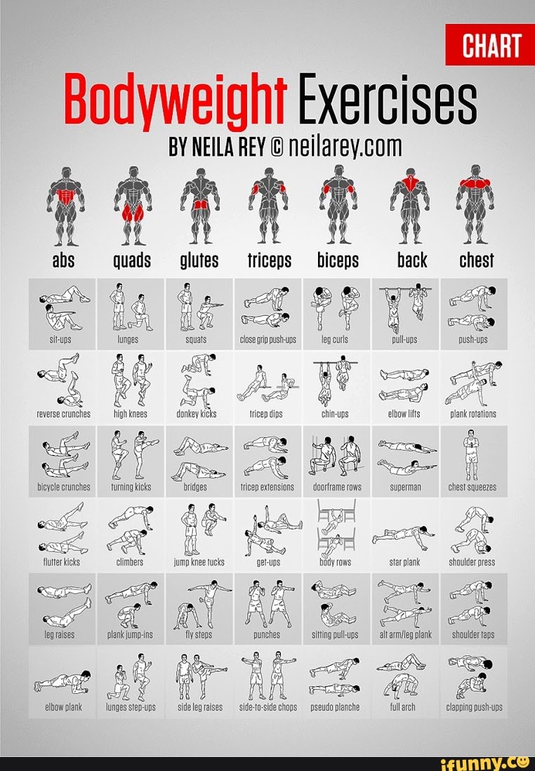 Bodyweight exercises Bodyweight Exercises BY ILA REY abs quads glutes