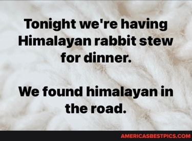 Tonight we're having
Himalayan rabbit stew for dinner.
We found himalayan in the road.