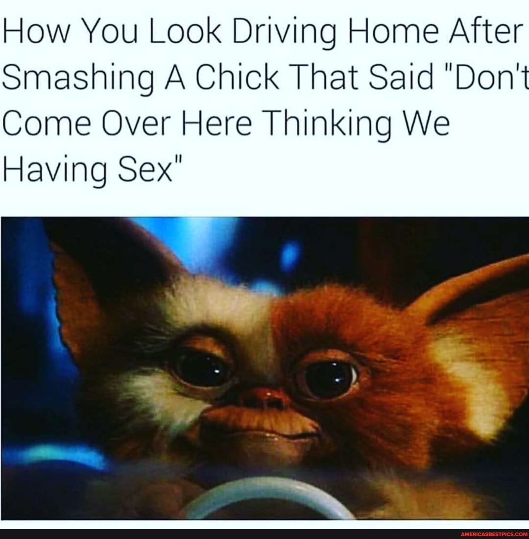 How You Look Driving Home After
Smashing A Chick That Said "Don't
Come Over Here Thinking We
Having Sex"