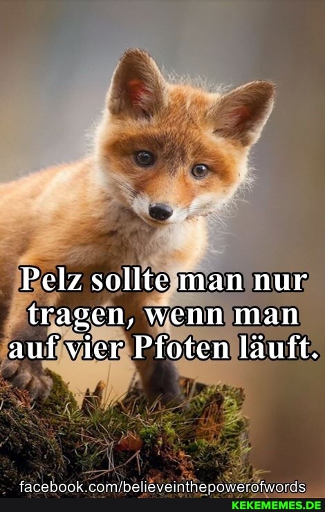 Pelz sollte man nur tragen, wenn man auf vier Pfoten läuft.