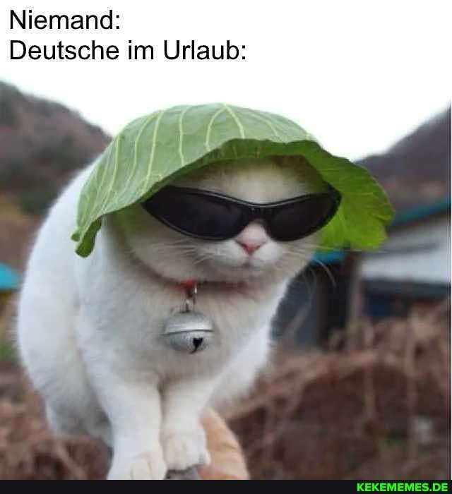 Niemand:
Deutsche im Urlaub: