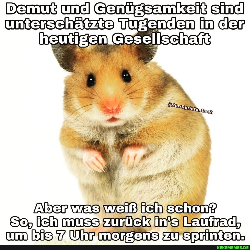 utjund umterschatzte) Tuganden in der
Aber was weiß ich schon?
muss zurück in's Laufrad