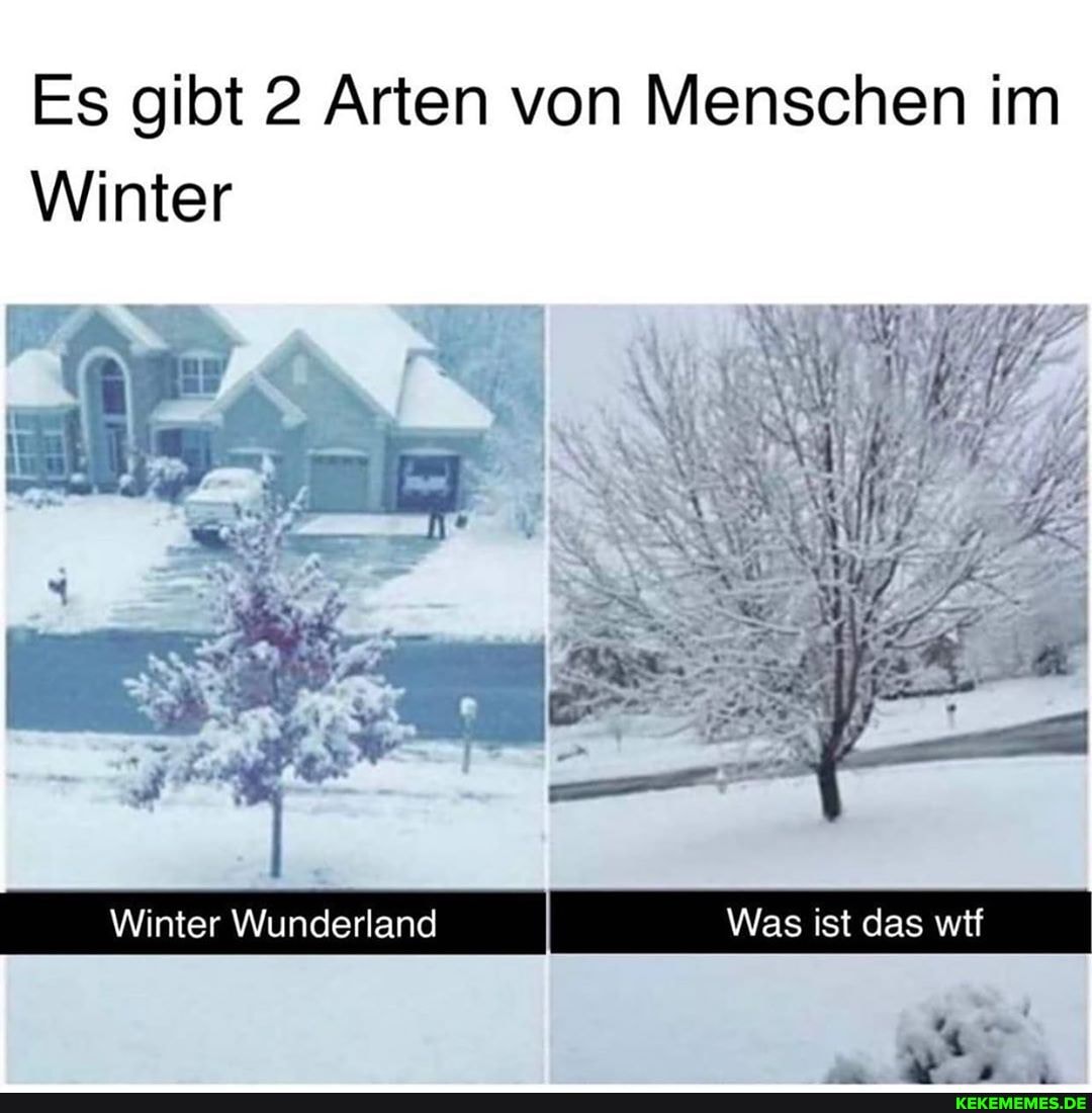 Es gibt 2 Arten von Menschen im
Winter
Winter Wunderland Was ist das wif r Zu