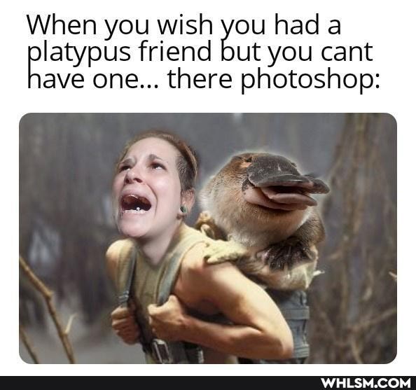 When you wish you had a platypus friend there but you cant photoshop:
ave one... there photoshop: