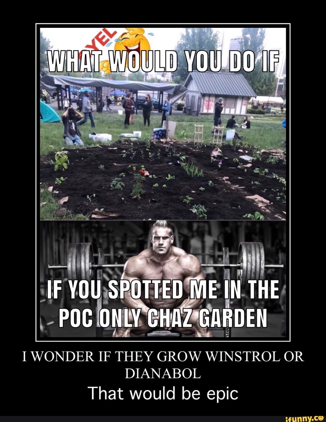 I WONDER IF THEY GROW WINSTROL OR
DIANABOL
That would be epic