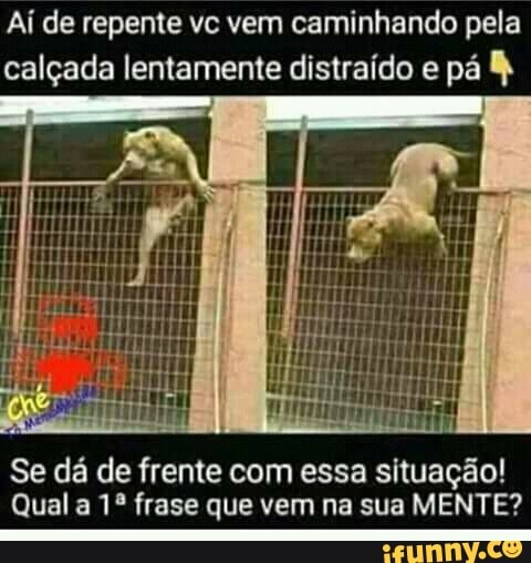 Aí de repente vc vem caminhando pela
calçada lentamente distraído e pá Se dá de frente com essa situação!
Quala 1º frase que vem na sua MENTE?