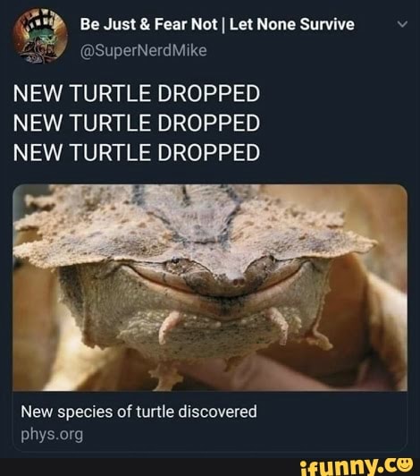 Be Just & Fear Not I Let None Survive NEW TURTLE DROPPED NEW TURTLE ...