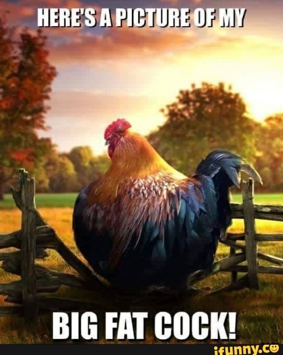 Heres Picture Of My Big Fat Cock Ifunny 