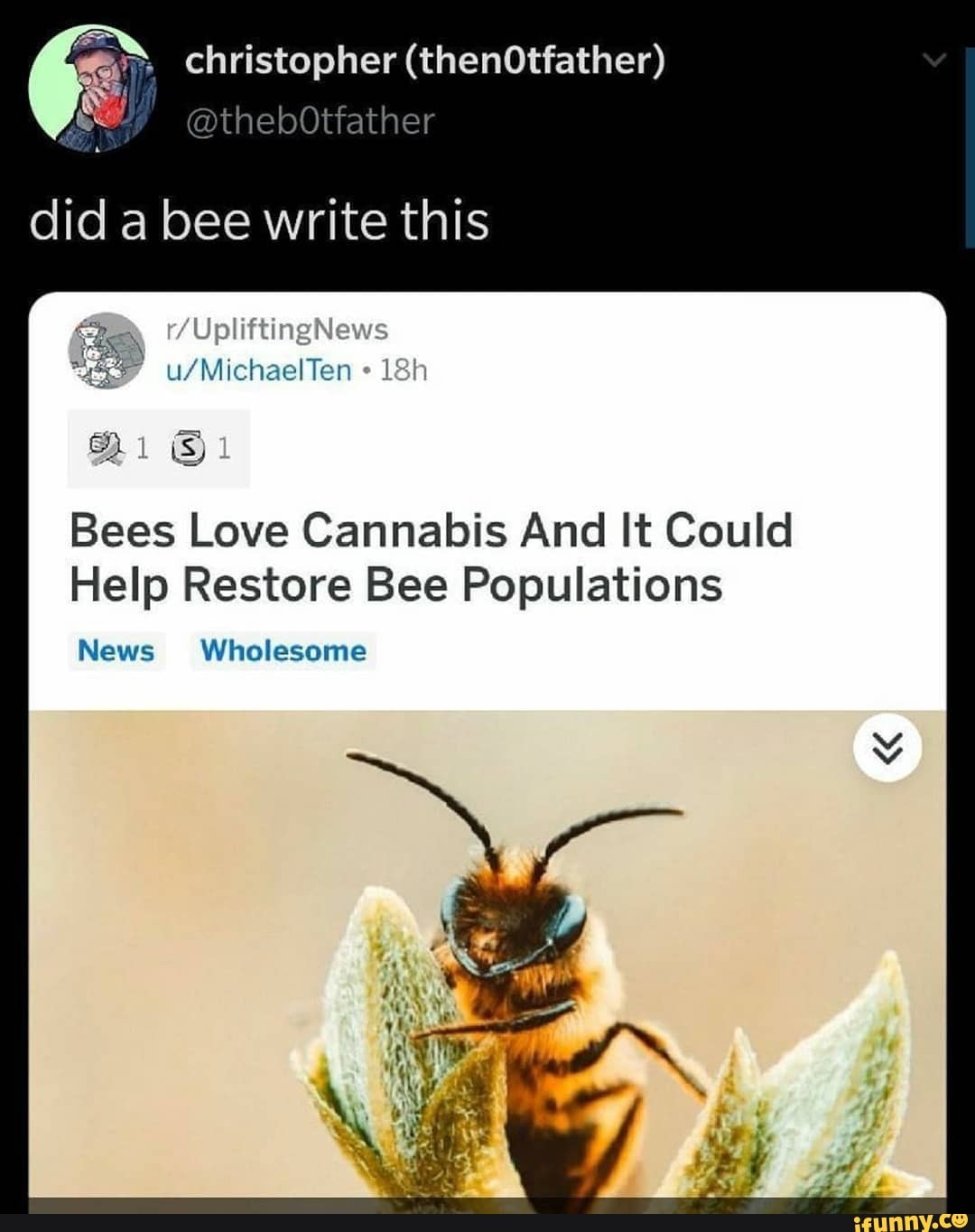 Restore Bees Er (thenOtfather) Bees Love Cannabis And It Could Help Restore Bee ...