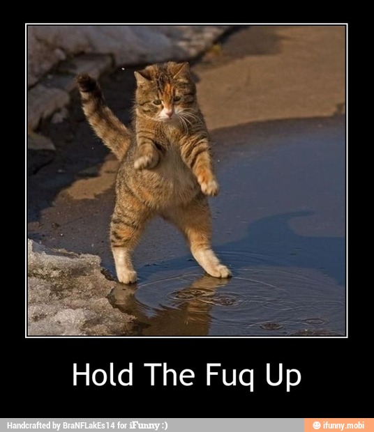 Hold The Fuq Up