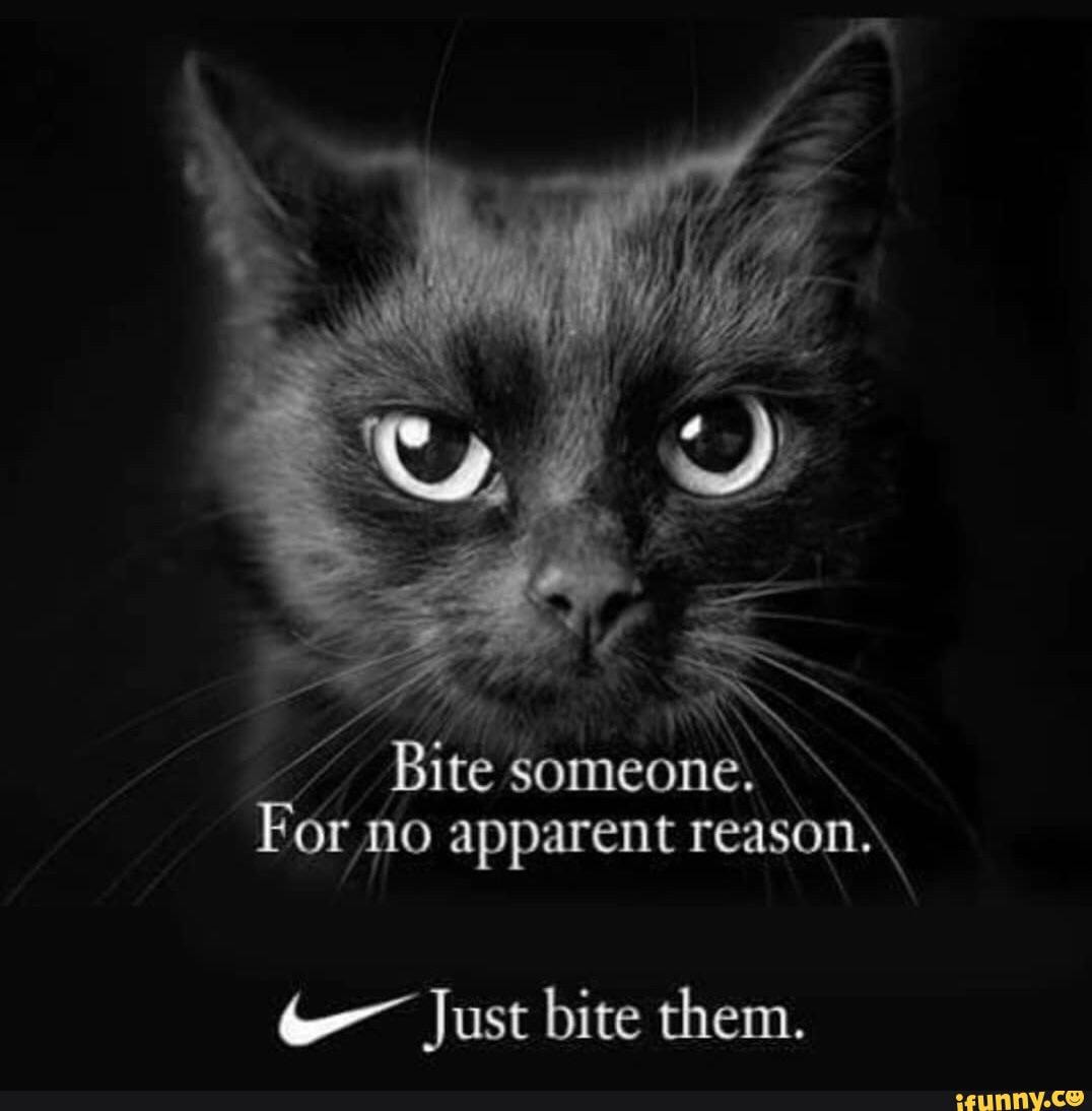 Bite someone.
No apparent reason),
Just bite them.