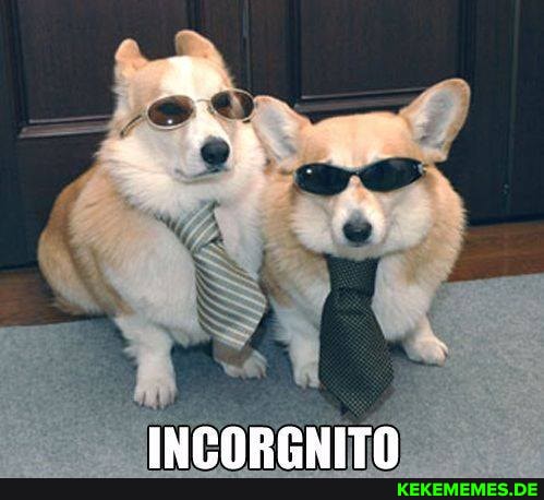 Ar
INCORGNITO
