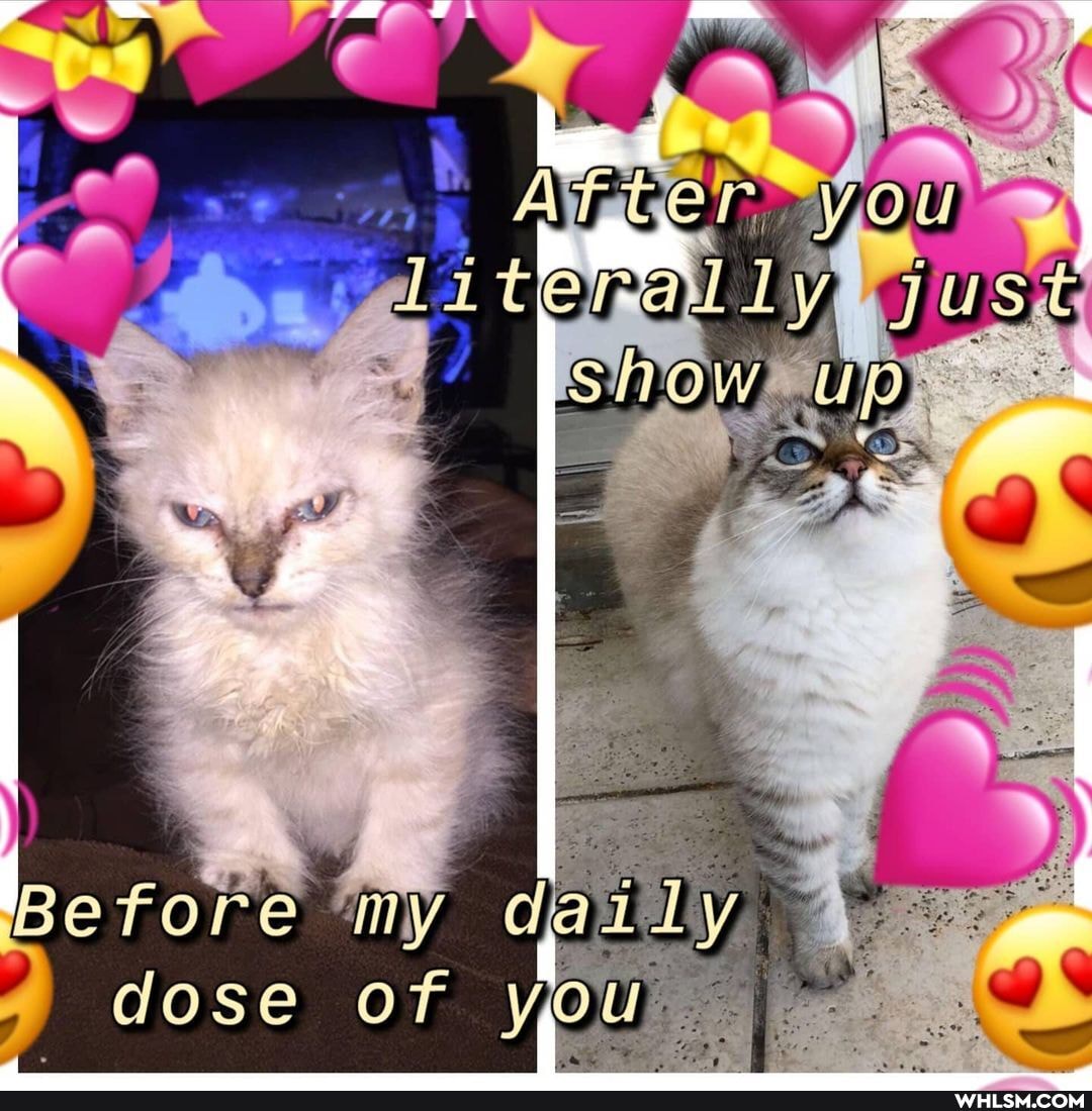 efor
dose of