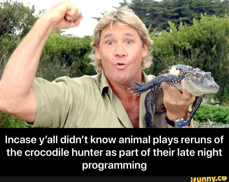 Incase y'all didn't know animal plays reruns of the crocodile hunter as ...