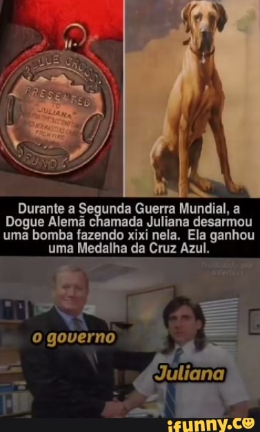 Durante a Segunda Guerra Mundial, a
Dogue Alemã chamada Juliana desarmou uma bomba fazendo xixi nela. Ela ganhou uma Medalha da Cruz Azul.
o governo
Juliana;