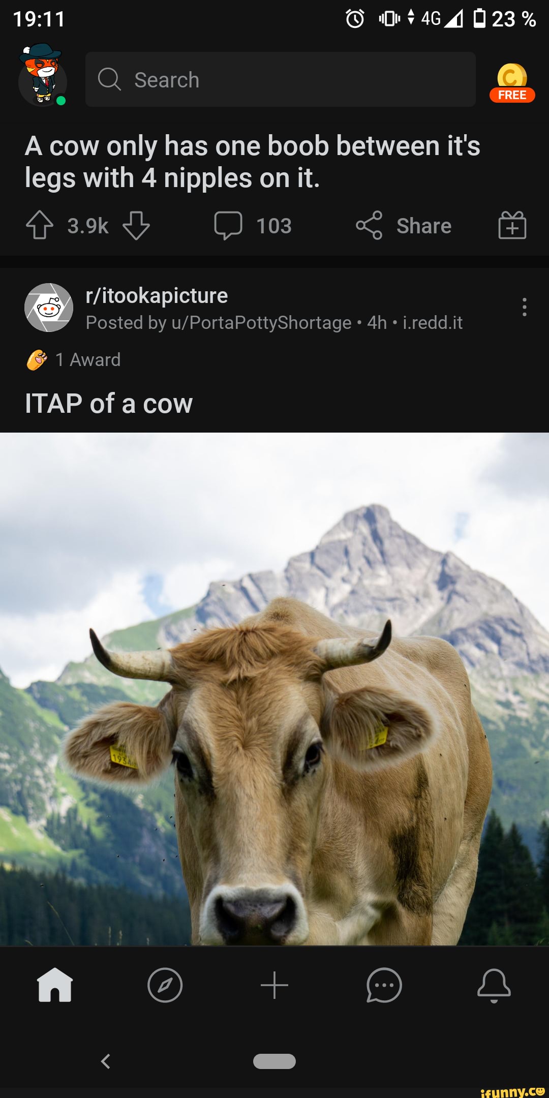 ITAP of a cute cow : r/itookapicture