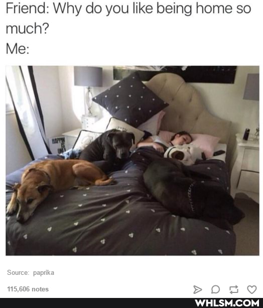 Friend Why do you like being home so much?
Me