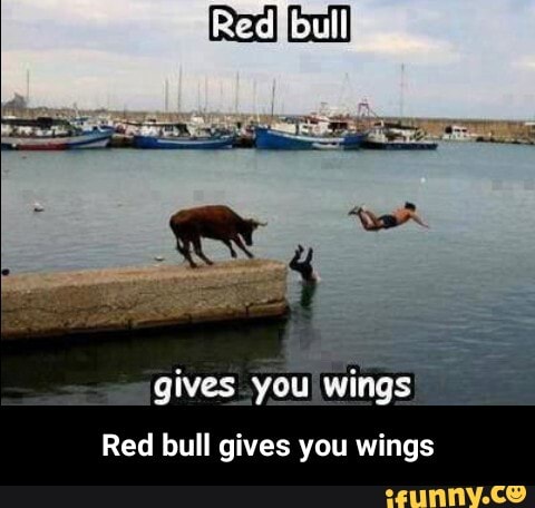 Gives You Wings Red Bull Gives You Wings Red Bull Gives You Wings