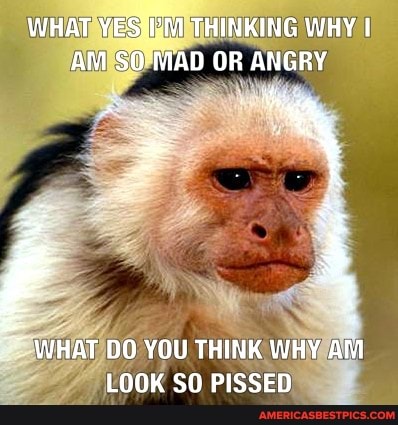 WHAT THINKING WHY I AM SO MAD OR ANGRY
WHAT DO YOU THINK WHY AM LOOK SO PISSED