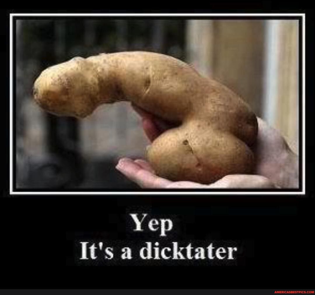 Yep a dicktater