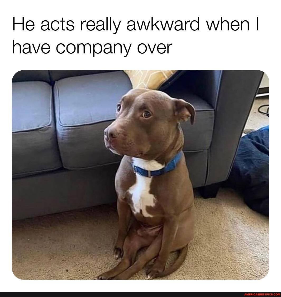 He acts really awkward when I have company over