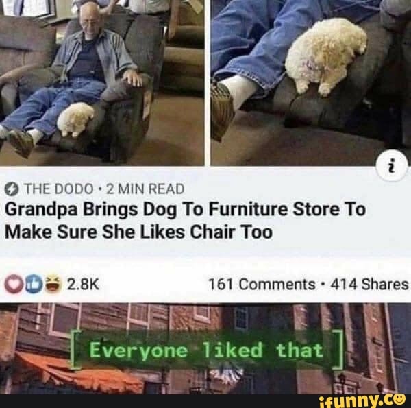 THE DODO 2MIN READ Grandpa Brings Dog To Furniture Store To
Make Sure She Likes Chair Too
ODs 2.8k 161 Comments 414 Shares
Everyone liked that