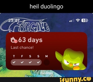 Duolingo memes. Best Collection of funny Duolingo pictures on iFunny