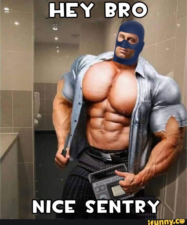 NICE SENTRY,