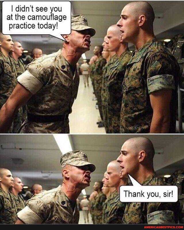 I didn't see you at the camouflage practice today!
Thank