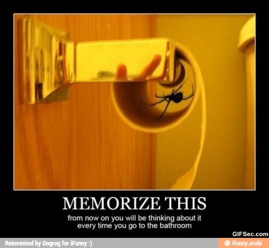 MEMORIZE THIS
from now on you will be thinking about it
every time you go to the bathroom
GIFSec.com