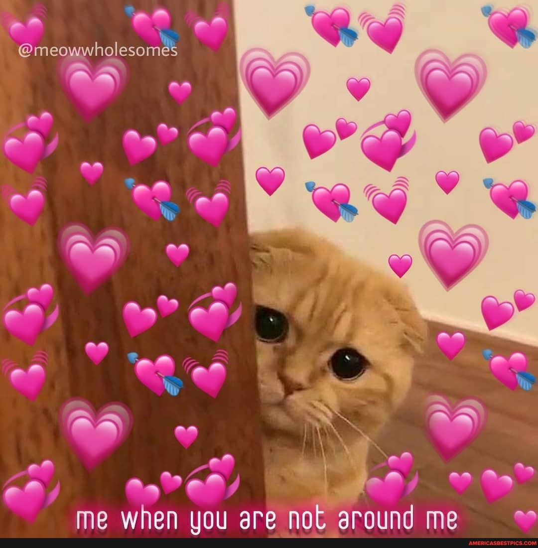 @meowwholesomes
NY pe Aw ef o* on
Ww
Aa
aa
at
aa
me when uou are not around me as