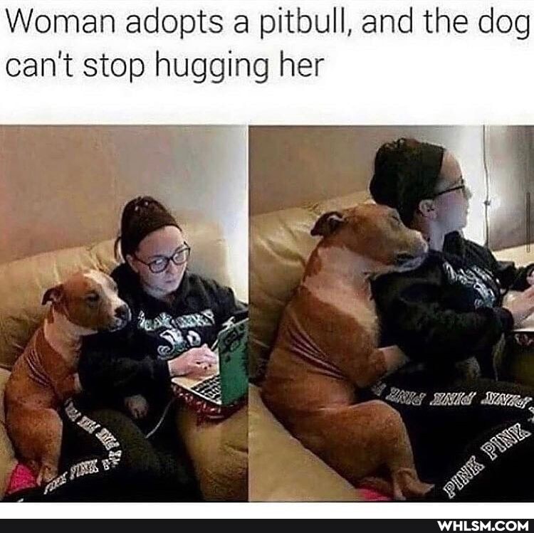 Woman adopts a pitbull, and the dog can't stop hugging her