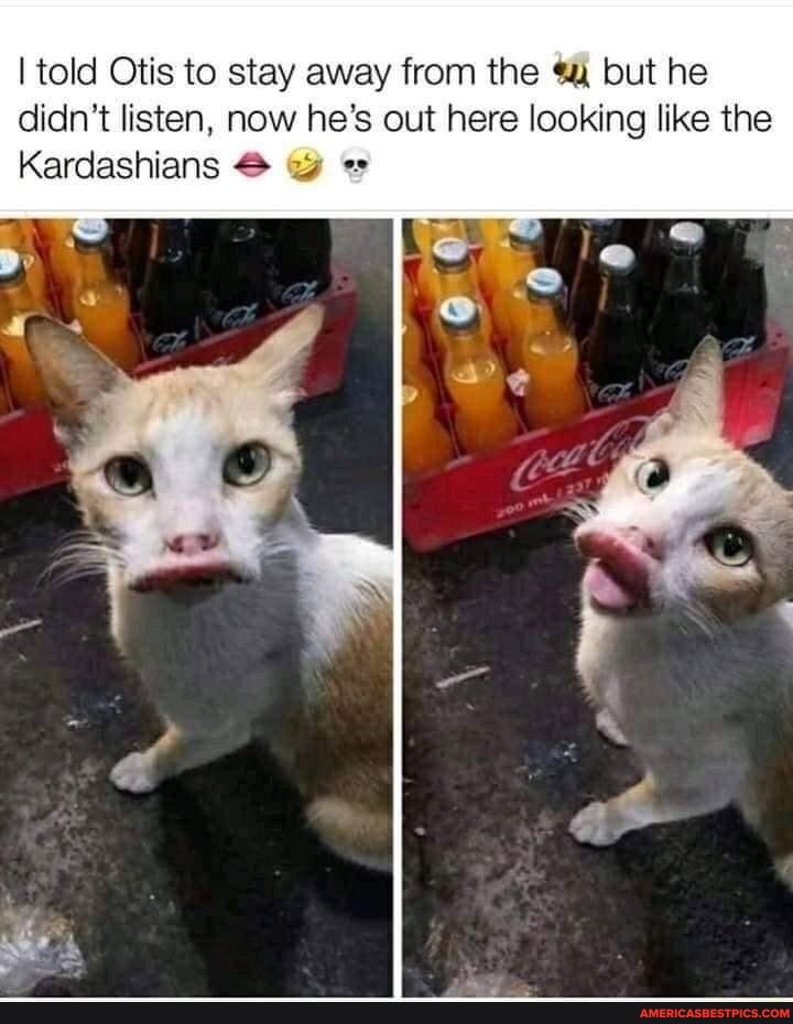 I told Otis to stay away from the but he didn't listen, now he's out here looking like the
Kardashians