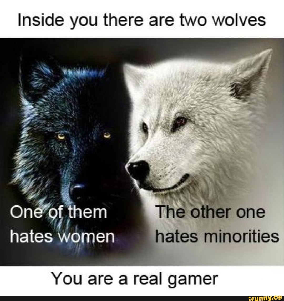 Inside you there are two wolves
jer one
them The o hates women hates minorities
You are a real gamer