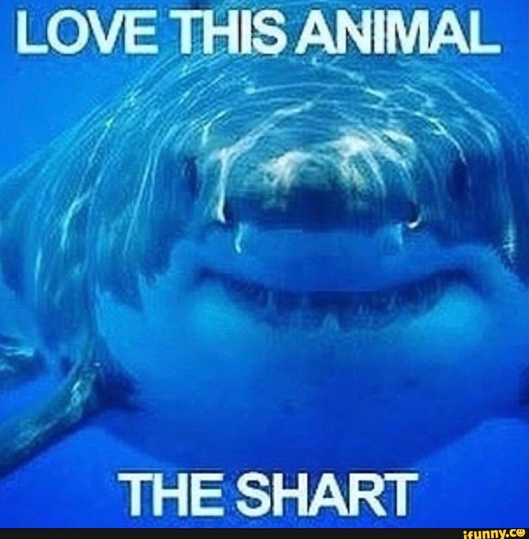 LOVE ANIMAL THE SHART - iFunny