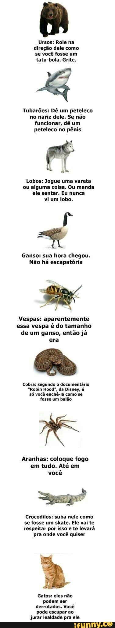 Ursos: Role na
direção dele como
se você fosse um
tatu-bola. Grite.
Tubarões: Dê um peteleco
no nariz dele. Se não
funcionar, dê um
peteleco no pênis
Lobos: Jogue uma vareta
ou alguma coisa. Ou manda
ele sentar. Eu nunca
vi um lobo.