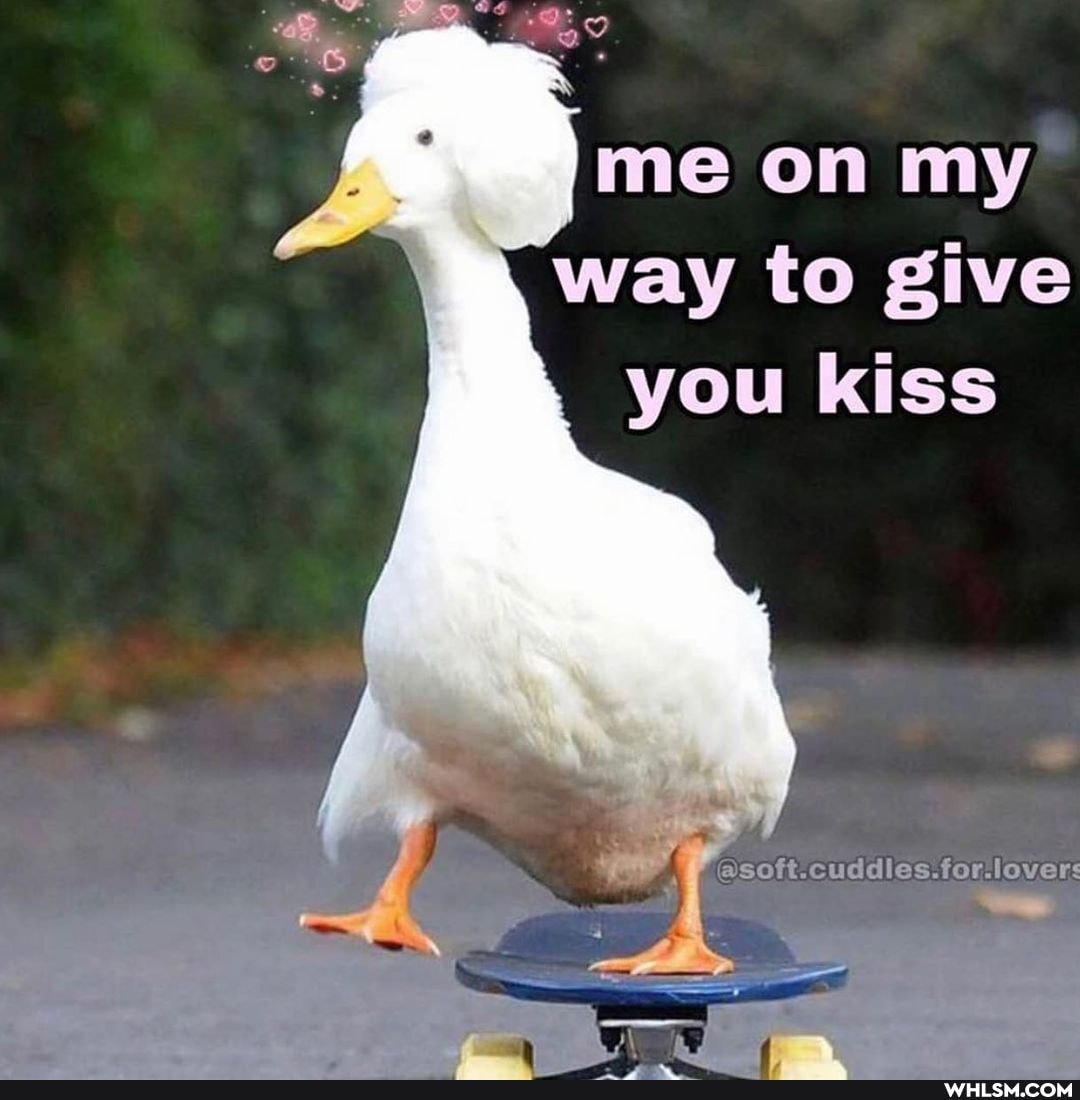 me on my way to give you kiss
soft-cuddles-for-lovers