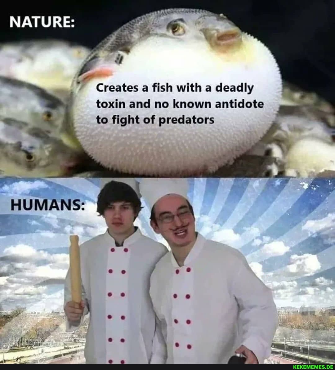 NATURE:
Creates a fish with a deadly toxin and no known antidote
to fight of predators