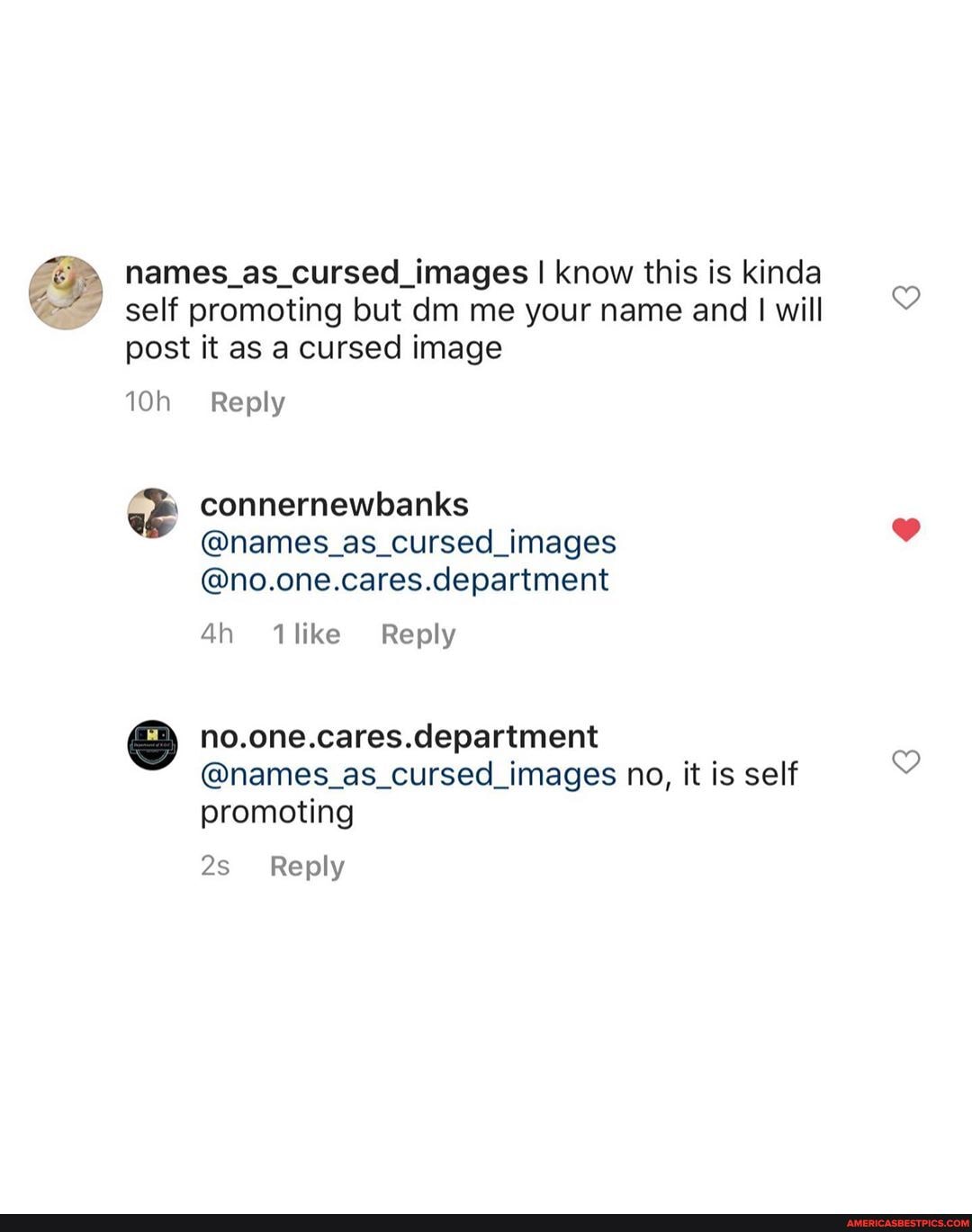 names_as_cursed_images I know this is kinda self promoting but dim me your name and I I will post it as a cursed image
Reply
connernewbanks
@names_as_cursed_images
@no.one.cares.department
like Reply
no.one.cares.department
@names_as_cursed_images no, it is self promoting
Reply