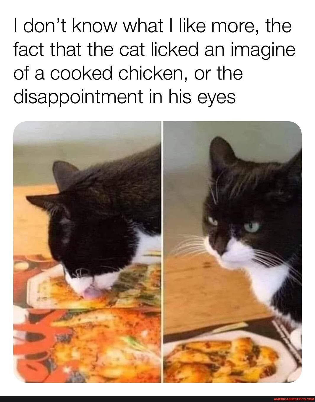 I don't Know what I like more, the fact that the cat licked an imagine of a cooked chicken, or the disappointment in his eyes